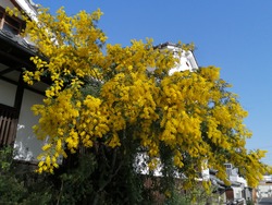 IMG_20210331_084609