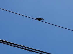 IMG_20200527_104538