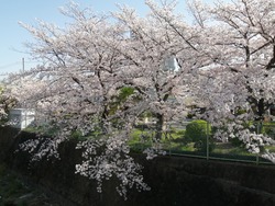 IMG_20210331_084138