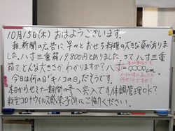 IMG_20201015_095514