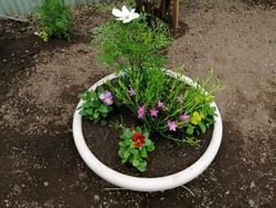 IMG_20190927_093314