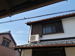 IMG_20200527_131111