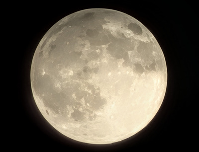 PXL_20251105_095144225.BURST-01-2 - ���ԡ�