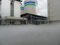 P1130437s