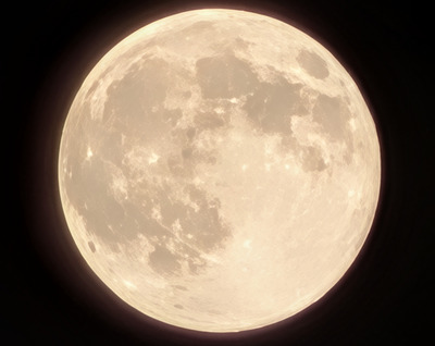 PXL_20251105_115504769.BURST-01 - ���ԡ�