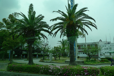 sP1050020