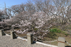 P1070934s
