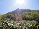 最初は平ら