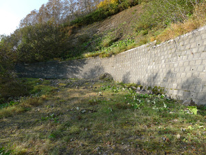 P1140350s
