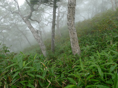 P1080734s