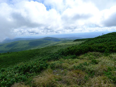 P1060074s