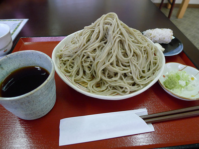 P1050793s