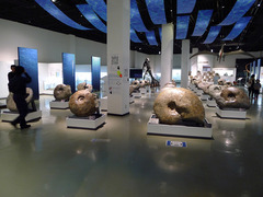 P1120546s
