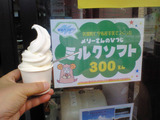 sNEC_0049