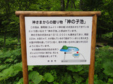 神の子池