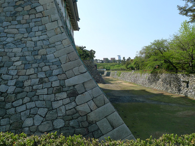 sP1050153