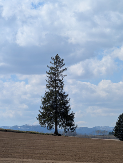 PXL_20260430_050901730s