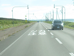 DSC_7418 - ¥³¥Ô¡¼