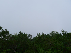 P1080760s