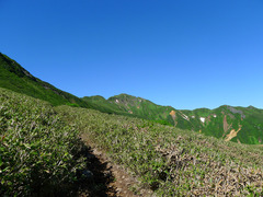 P1080339s