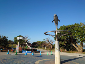 DSC_8576s