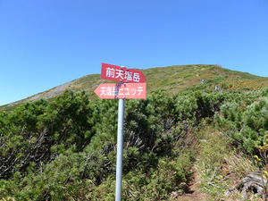 sP1060433