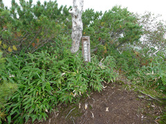 P1080735s
