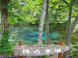 神の子池