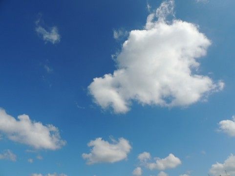 音楽で英語を覚えるのはいいきっかけだが 英語の独学への道