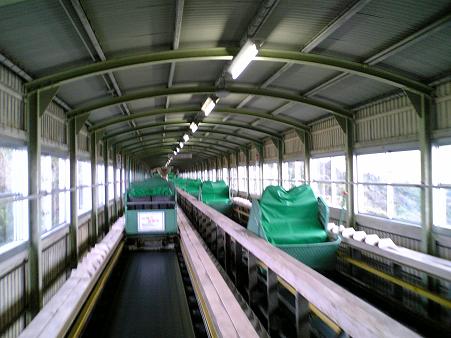 ���ᱺͷ�ࡡ�����졼����
