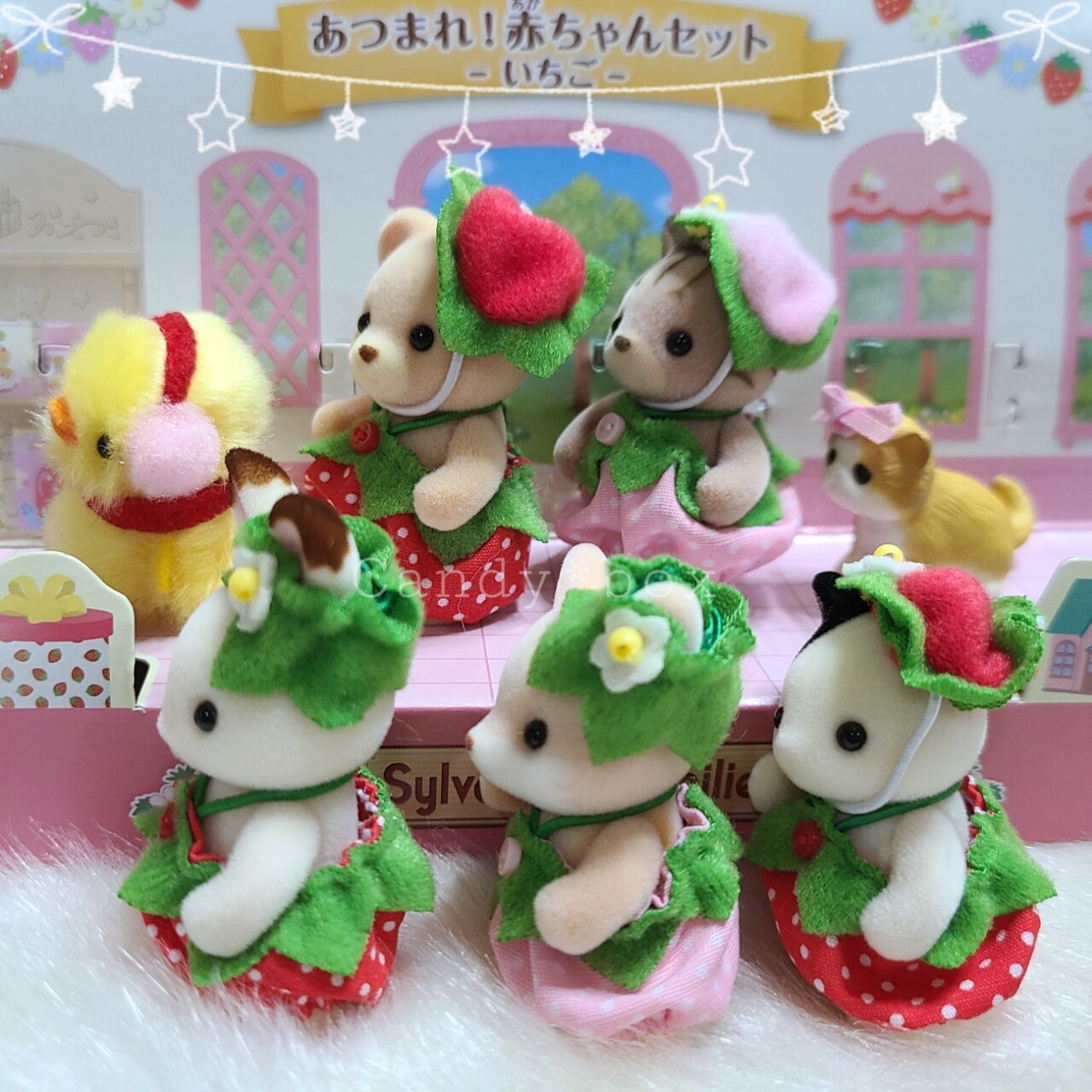 あつまれ!赤ちゃんセットｰいちごｰと我が家のネコ事情*シルバニア