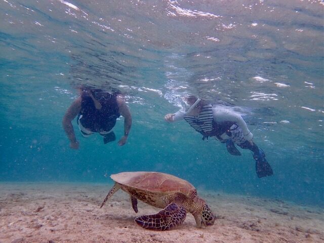 IMG_5032