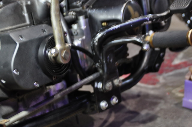DSC_0011 (2)