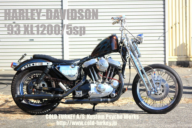 ハーレー スポスタ チェーンドライブ スポーツスター : ［コールド