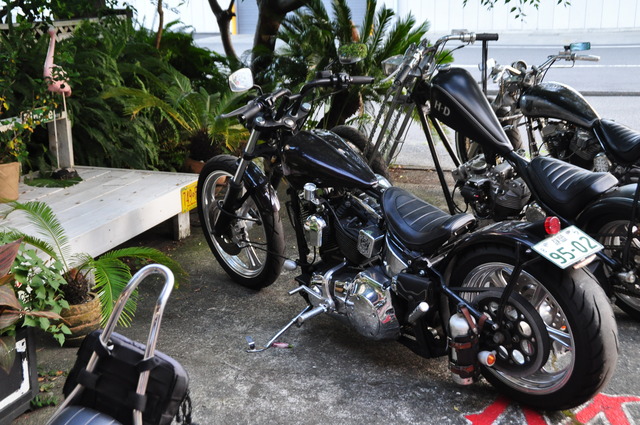 DSC_0038 (16)