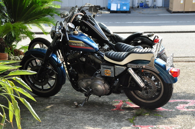 DSC_0034 - コピー (14)