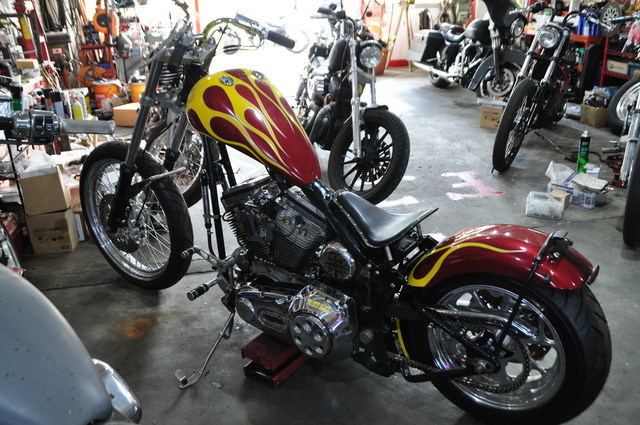 DSC_0041 (10)