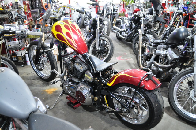 DSC_0042 (6)