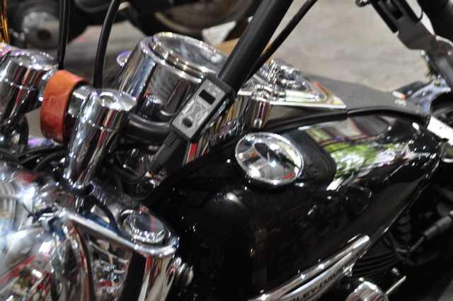 DSC_0021 - コピー (25)