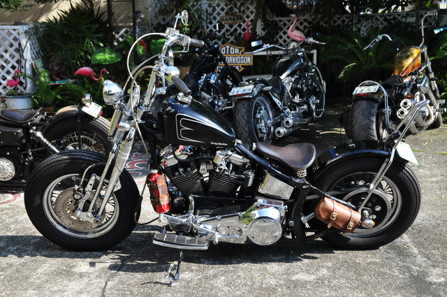DSC_0005 - コピー (20)