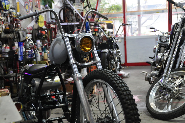 DSC_0011 (74)
