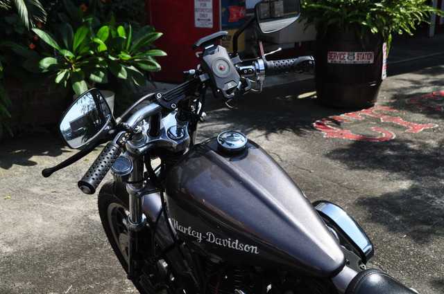 DSC_0024 - コピー (43)