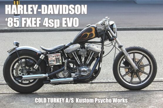 H-D '85 FXEF 修繕記録 オーバーフロー他 : ［コールドターキー