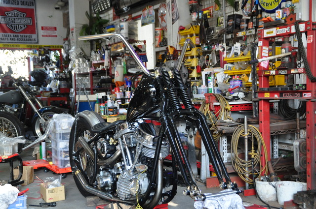 DSC_0033 (23)