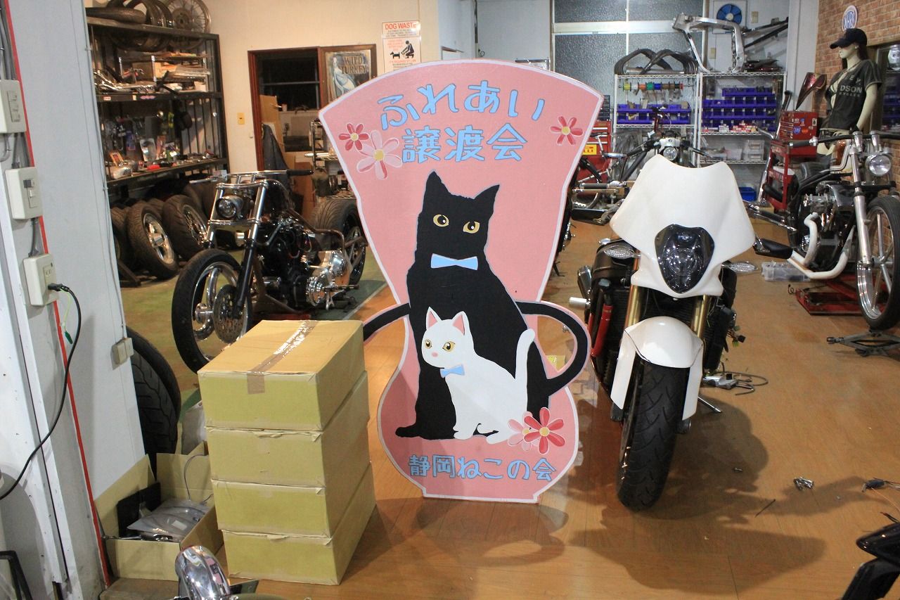 イメージ 3
