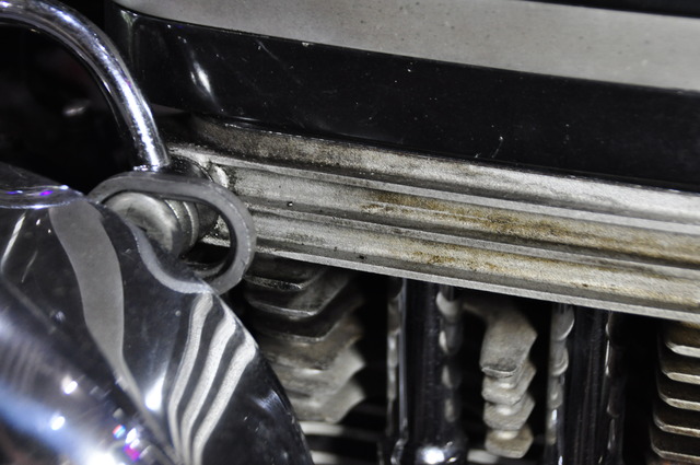 DSC_0024 - コピー (16)