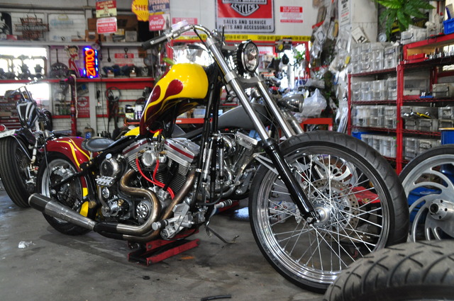 DSC_0036 (13)