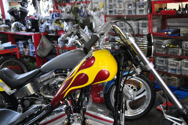 DSC_0049 (7)