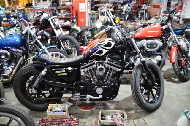 DSC_0025 - コピー (16)