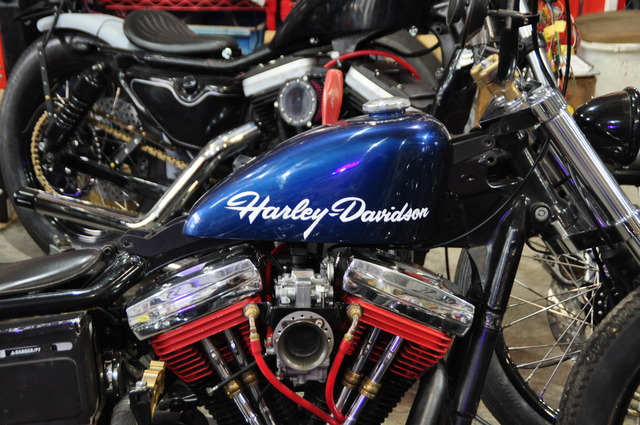 DSC_0029 (11)